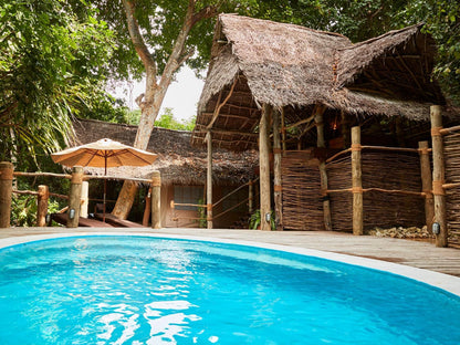 Fundu Lagoon, Standard Hillside Room, Swimming Pool