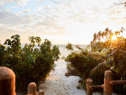 Fundu Lagoon, Superior Suite, Beach, Nature, Sand