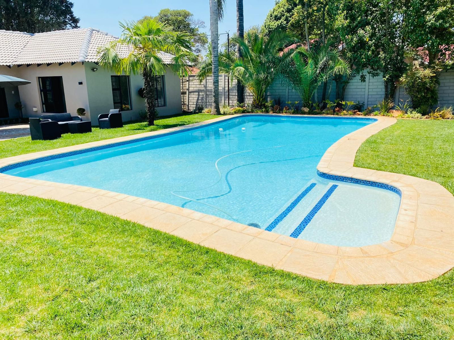 Furaha Guest Lodge Observatory Jhb Johannesburg Gauteng South Africa Complementary Colors, House, Building, Architecture, Palm Tree, Plant, Nature, Wood, Garden, Swimming Pool