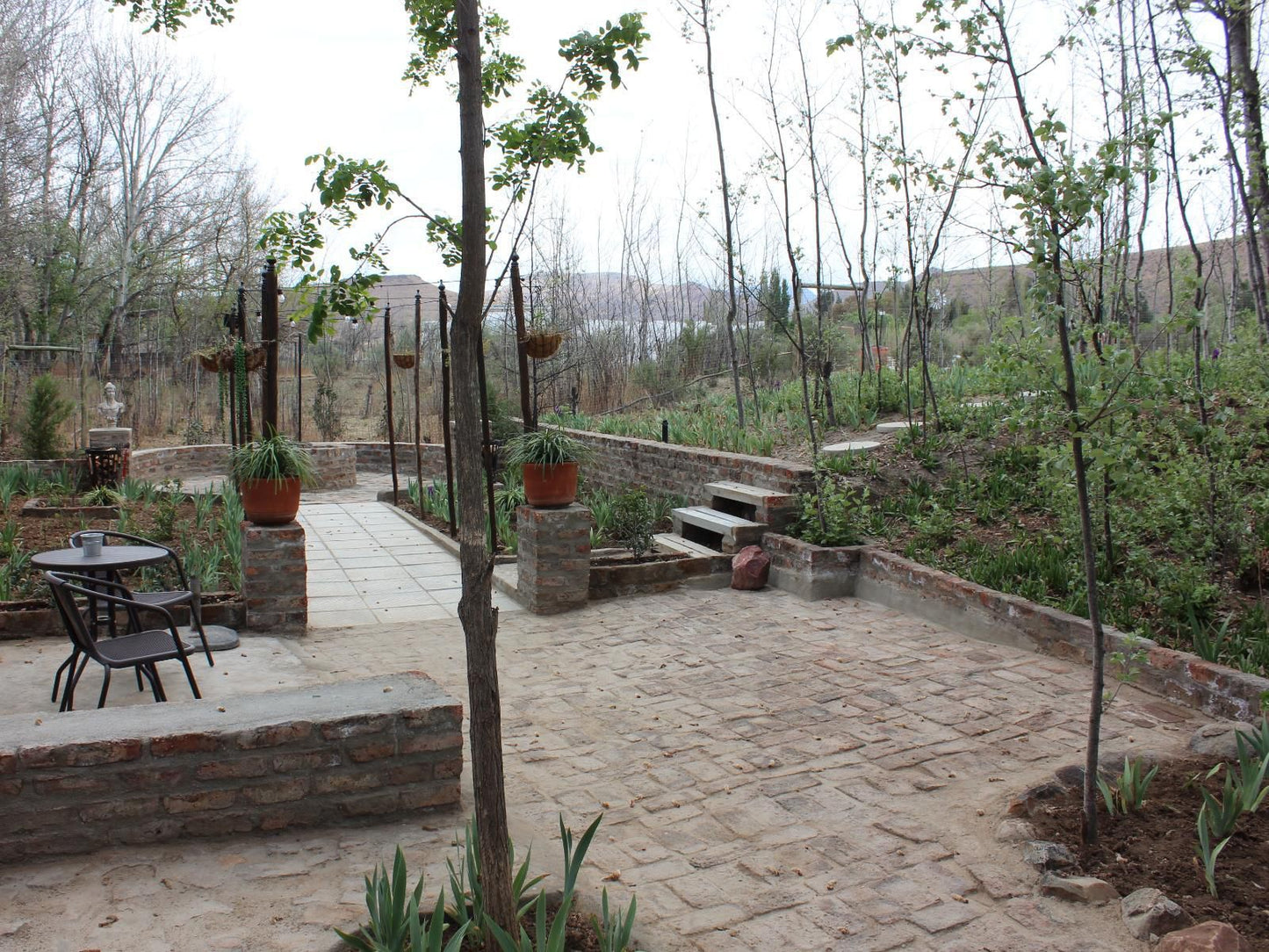 Furrows Lodge, Garden, Nature, Plant