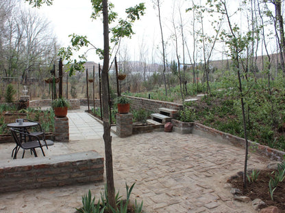 Furrows Lodge, Garden, Nature, Plant