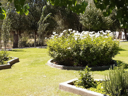 Furrows Lodge, Plant, Nature, Garden