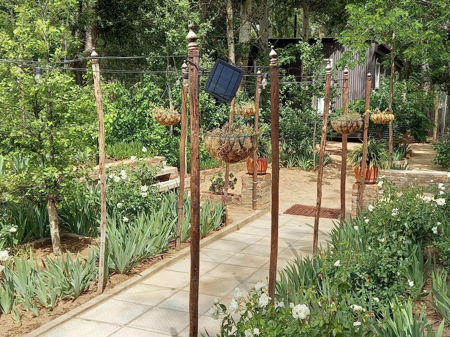 Furrows Lodge, Plant, Nature, Garden