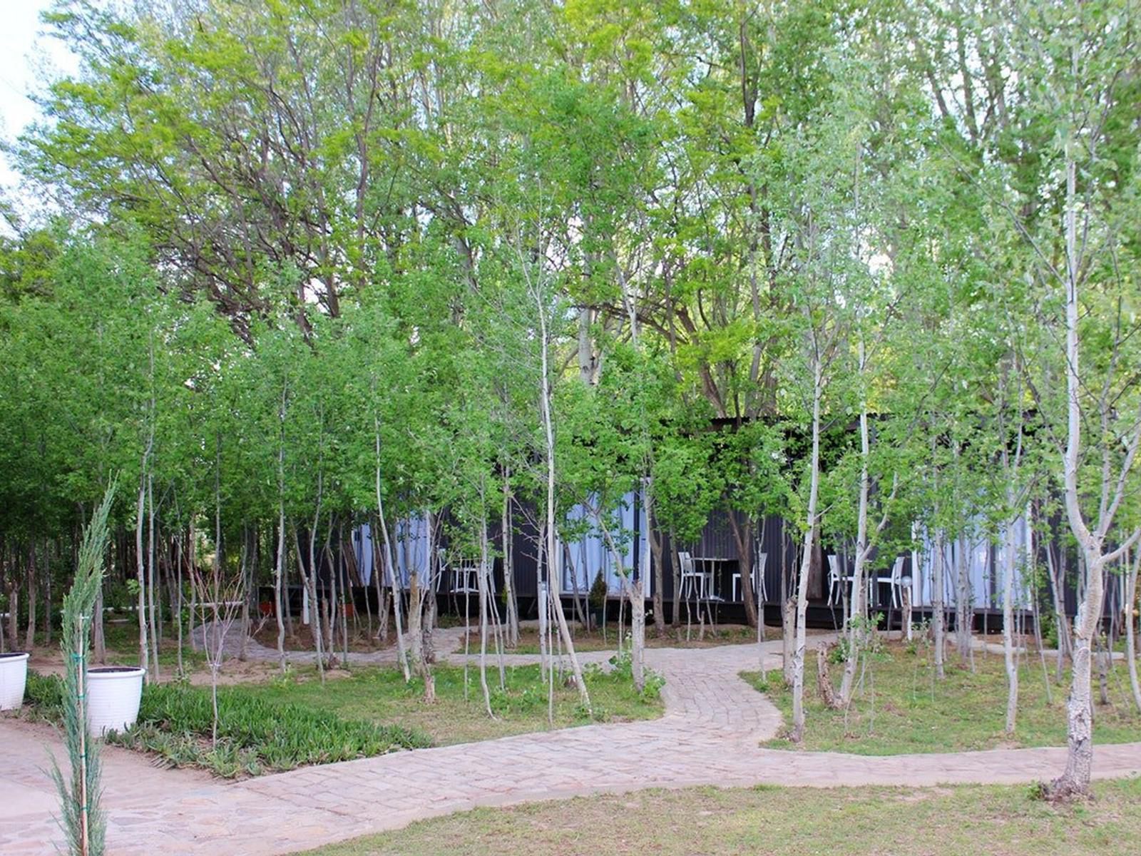 Furrows Lodge, Plant, Nature, Tree, Wood