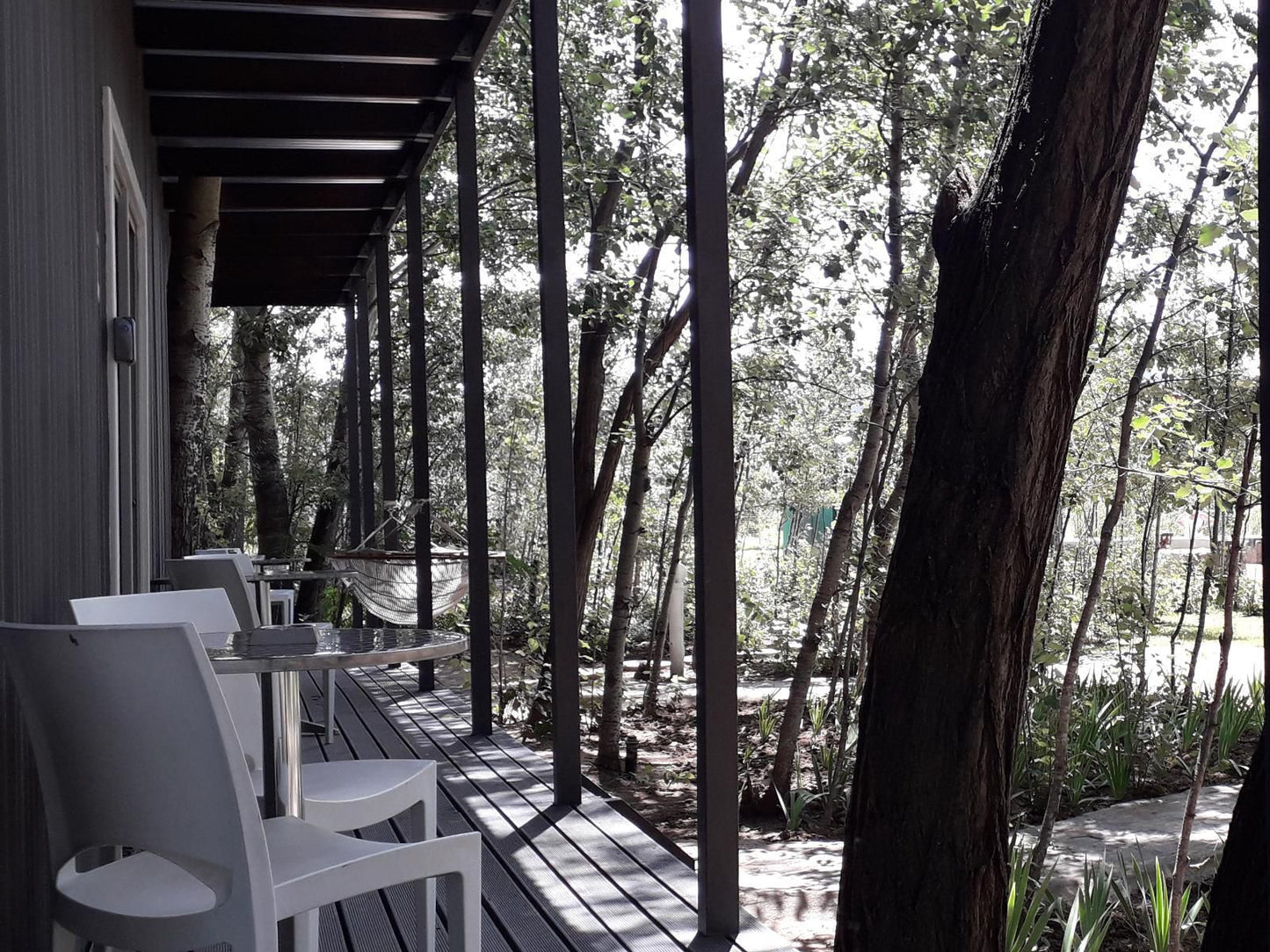 Furrows Lodge, Forest, Nature, Plant, Tree, Wood