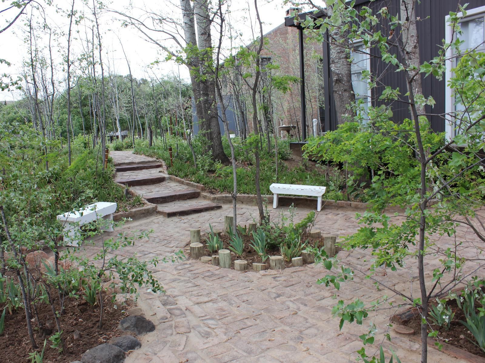 Furrows Lodge, Plant, Nature, Tree, Wood, Garden