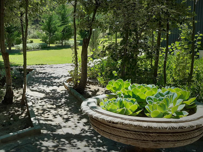 Furrows Lodge, Plant, Nature, Garden, Swimming Pool