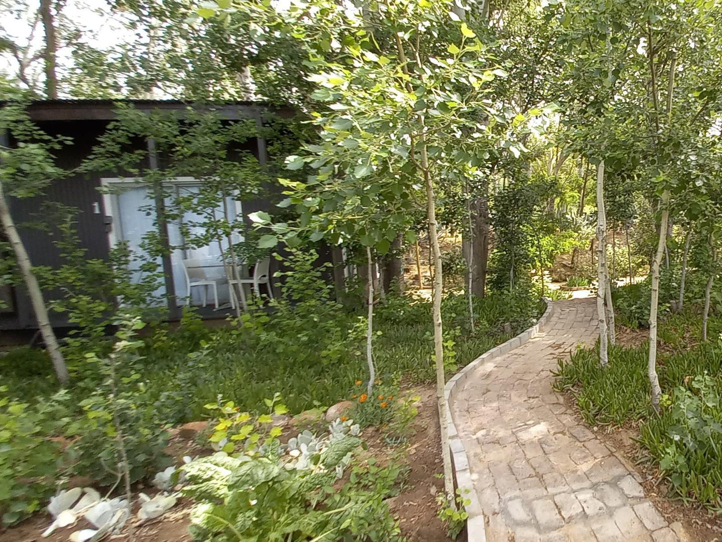 Furrows Lodge, Plant, Nature, Tree, Wood, Garden