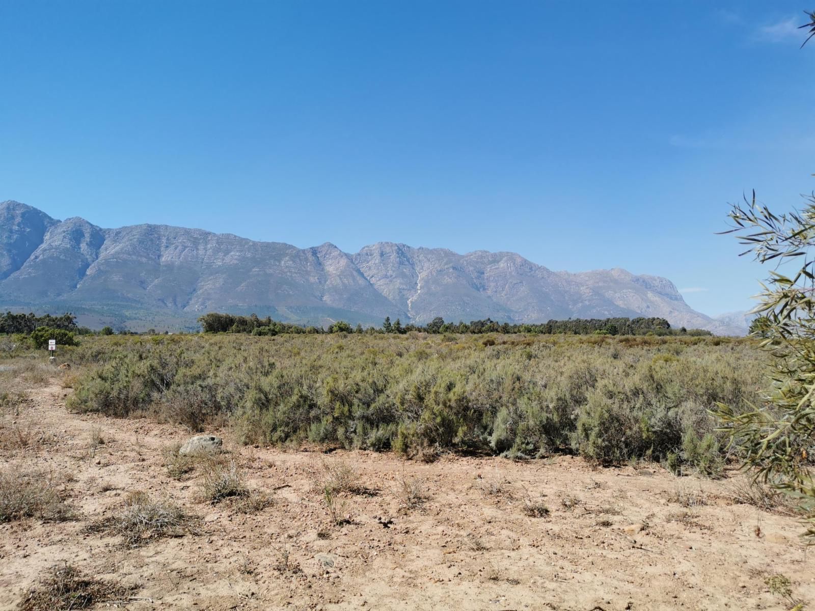 Fynbos Guest Farm, Cactus, Plant, Nature, Desert, Sand