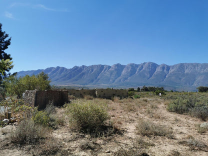 Fynbos Guest Farm, Cactus, Plant, Nature, Desert, Sand