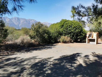 Fynbos Guest Farm, Caravan/ tent Site 8, Plant, Nature