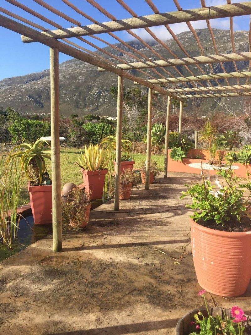 Fynbos Cottage Bettys Bay Western Cape South Africa Plant, Nature, Garden