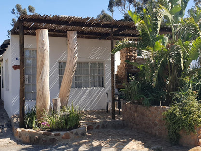 Fynbos Guest Farm And Animal Sanctuary Wolseley Western Cape South Africa Building, Architecture, House, Palm Tree, Plant, Nature, Wood