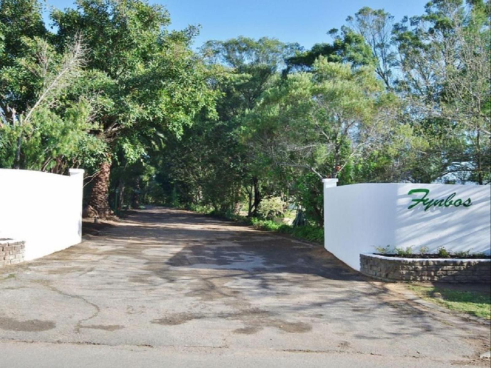 Fynbos Guest House Riversdale Western Cape South Africa Palm Tree, Plant, Nature, Wood