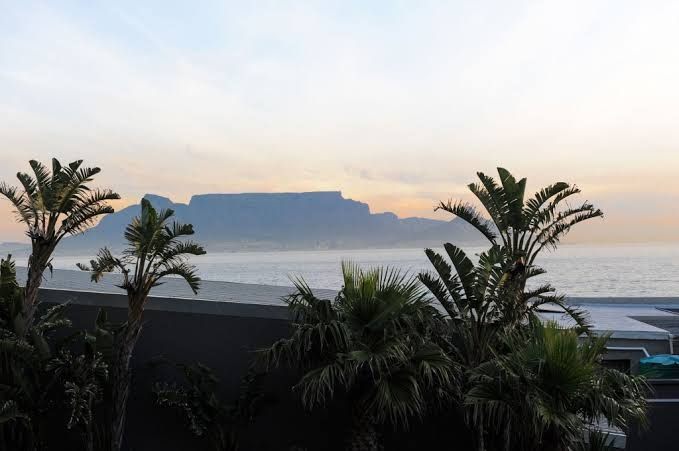 G1 Infinity Bloubergstrand Blouberg Western Cape South Africa Palm Tree, Plant, Nature, Wood, Framing