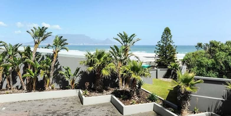 G1 Infinity Bloubergstrand Blouberg Western Cape South Africa Beach, Nature, Sand, Palm Tree, Plant, Wood, Garden
