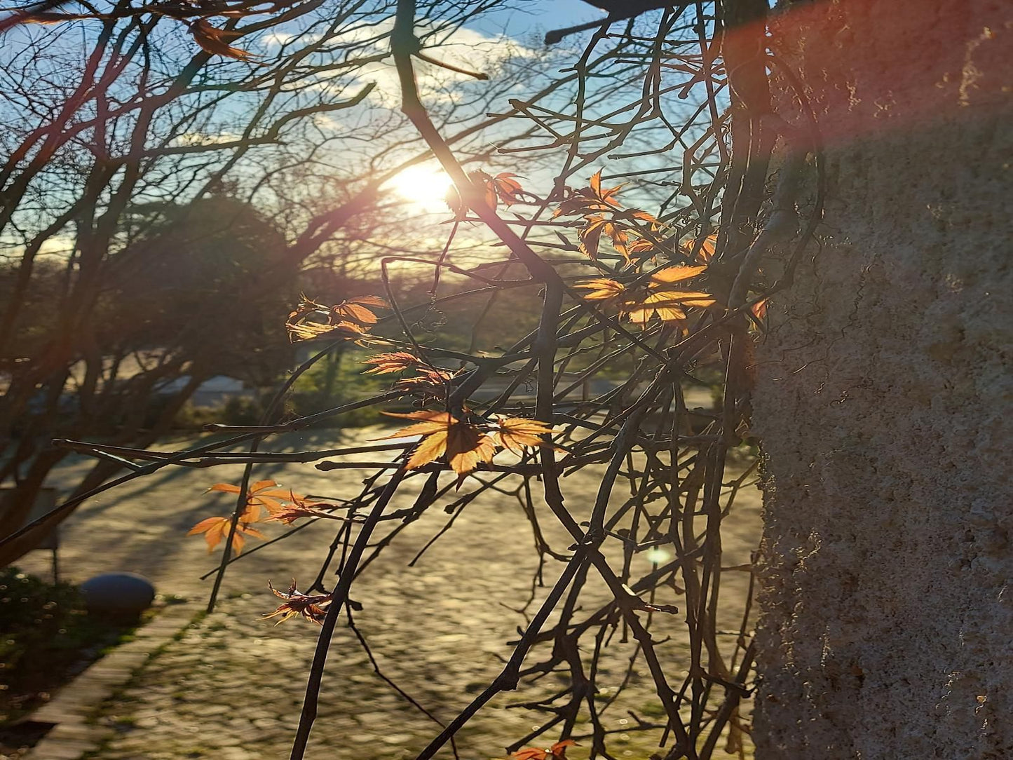 Gabriella'S Accommodation, Sunset, Nature, Sky