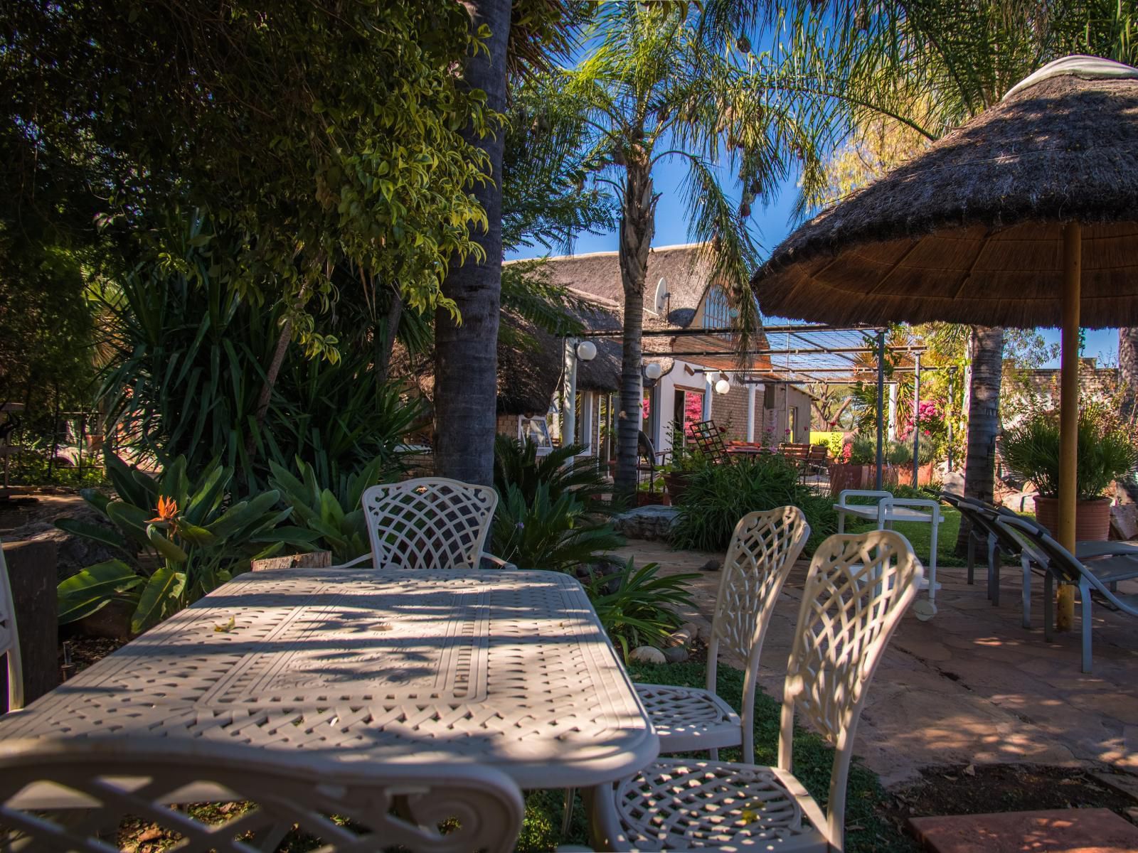 Gabus Safari Lodge, Palm Tree, Plant, Nature, Wood, Garden