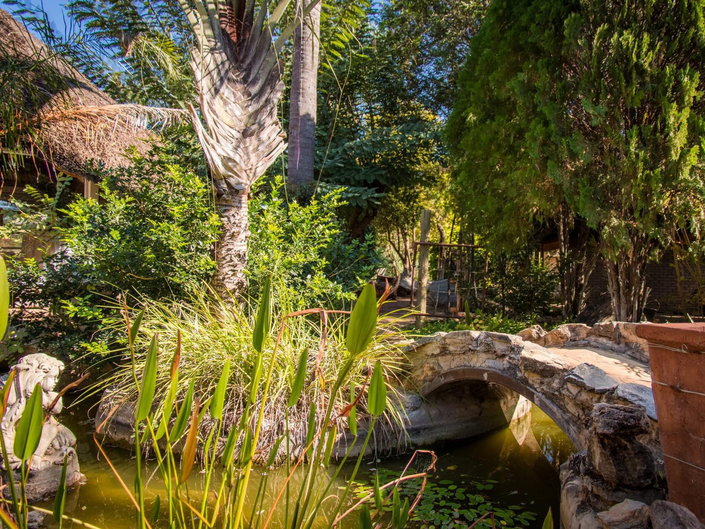 Gabus Safari Lodge, Palm Tree, Plant, Nature, Wood, River, Waters, Garden