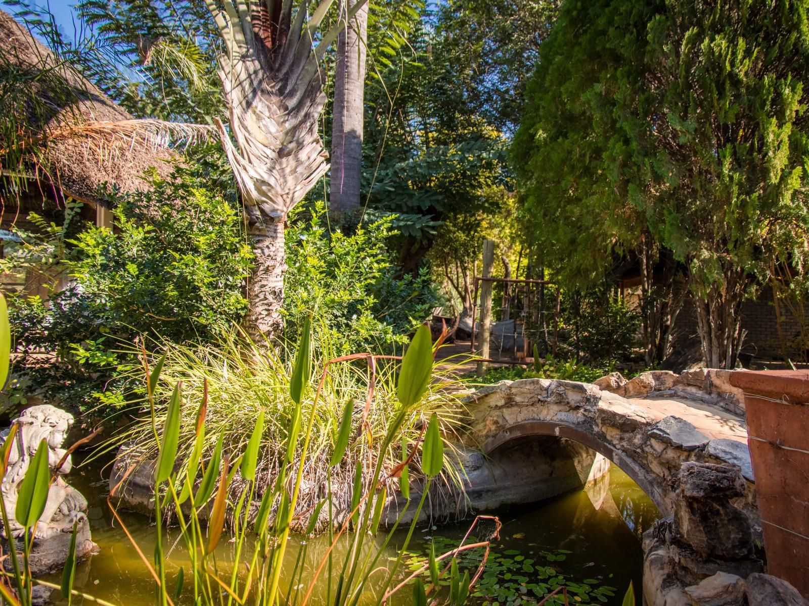 Gabus Safari Lodge, Palm Tree, Plant, Nature, Wood, River, Waters, Garden