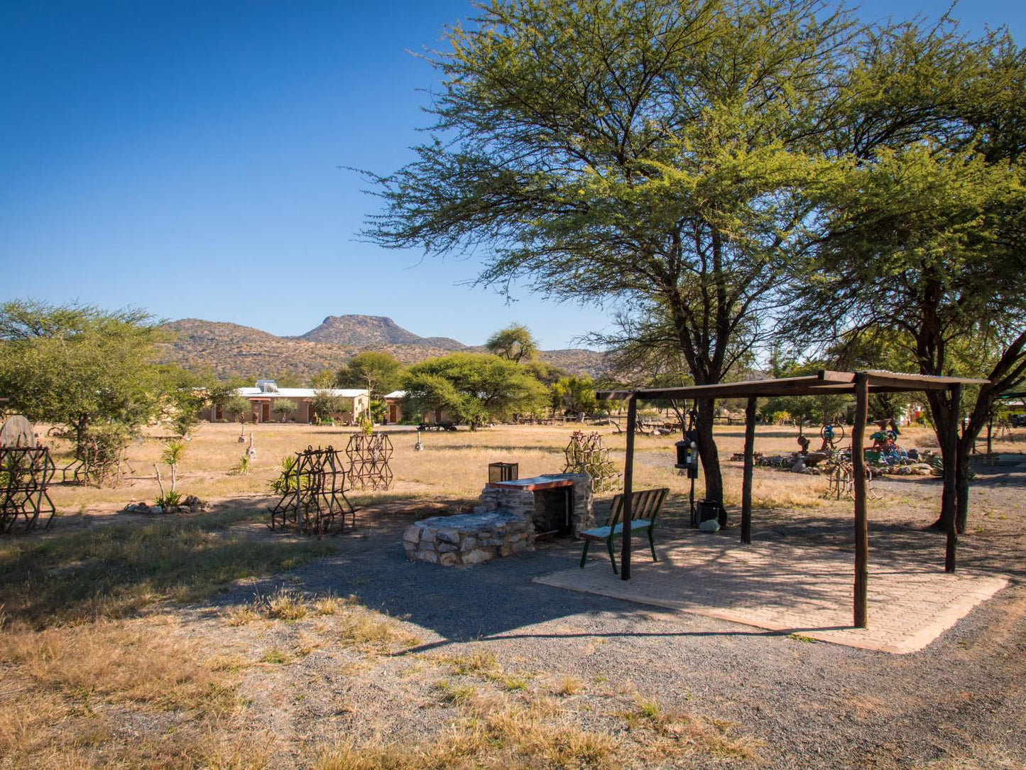 Gabus Safari Lodge, Campsite near Lodge, Cactus, Plant, Nature