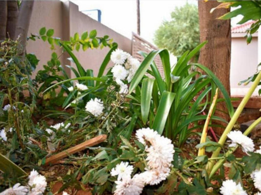 Gaediwe Guesthouse, Bouquet of Flowers, Flower, Plant, Nature, Garden