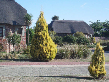 Gaggle Inn Kroonstad Free State South Africa House, Building, Architecture