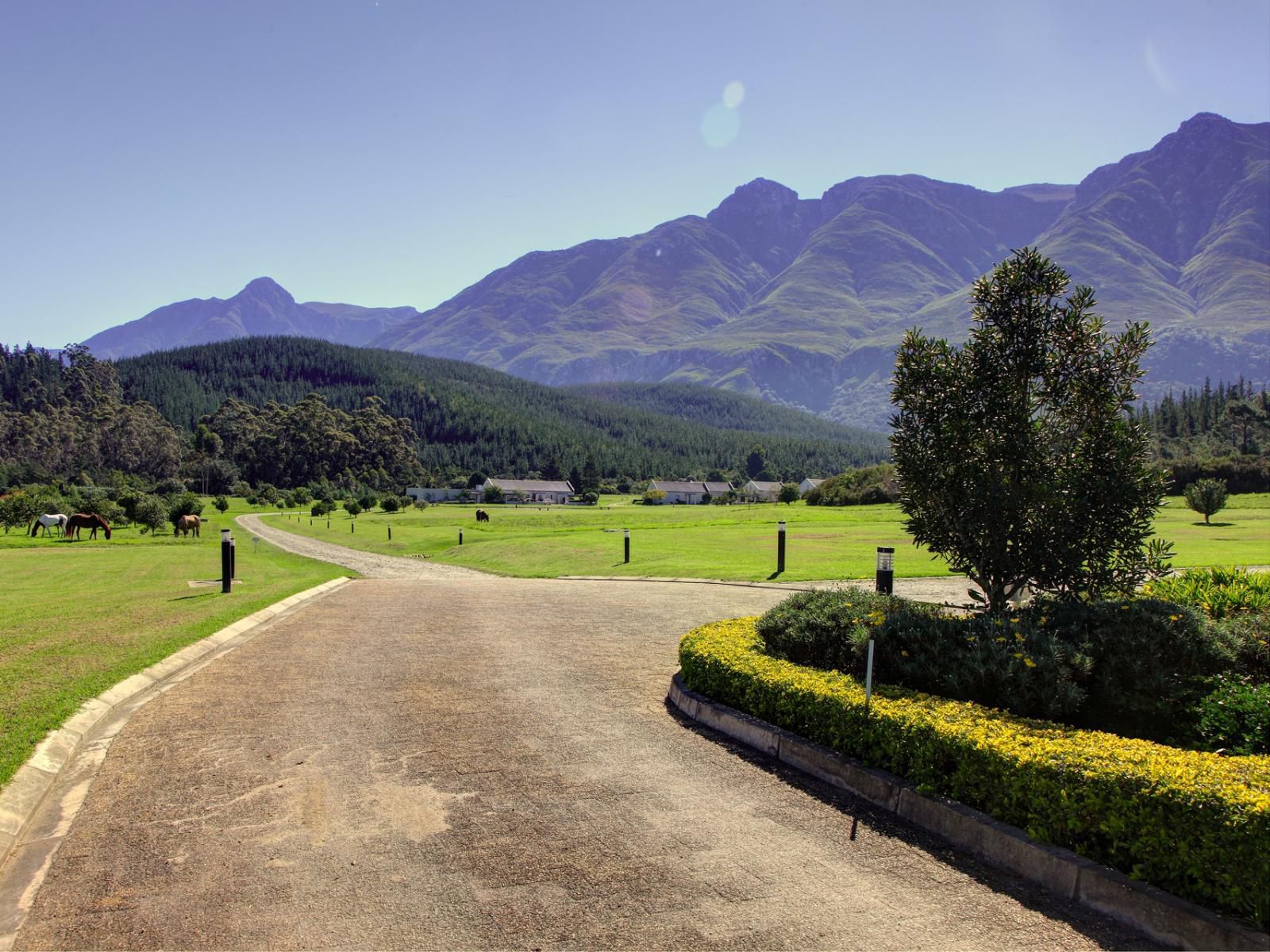 Gaikou Lodge Swellendam Western Cape South Africa Complementary Colors, Mountain, Nature, Highland, Street