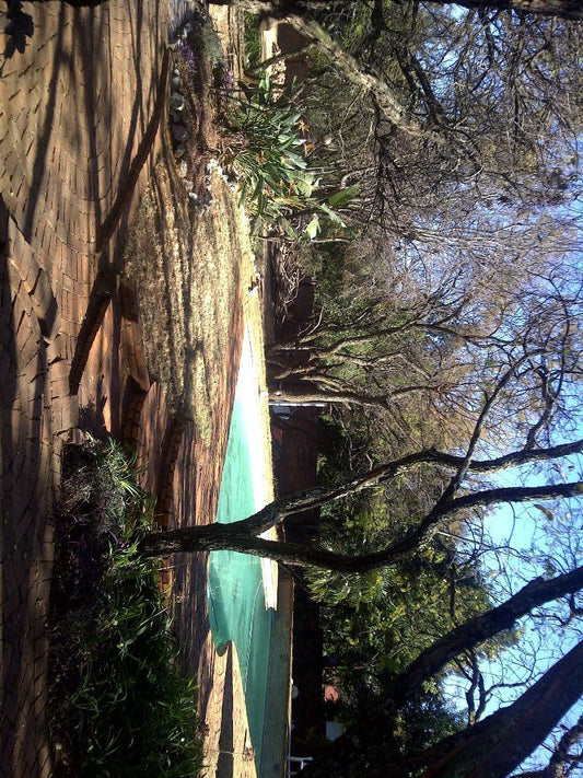 Ga Lali Guest House Wierda Park Centurion Gauteng South Africa Forest, Nature, Plant, Tree, Wood
