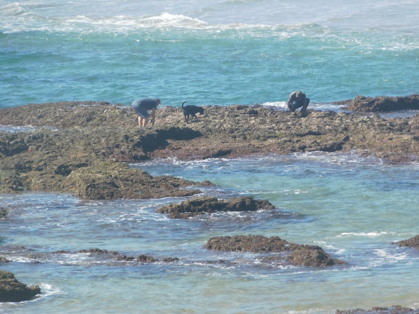 Galene Sea Park Kwazulu Natal South Africa Beach, Nature, Sand, Cliff, Animal, Ocean, Waters