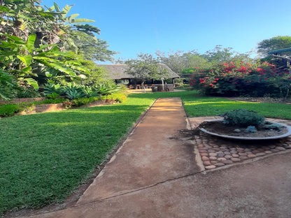 Gallery Inn Bela Bela Warmbaths Limpopo Province South Africa Palm Tree, Plant, Nature, Wood