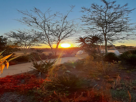 Gallery Inn Bela Bela Warmbaths Limpopo Province South Africa Palm Tree, Plant, Nature, Wood, Sky, Sunset