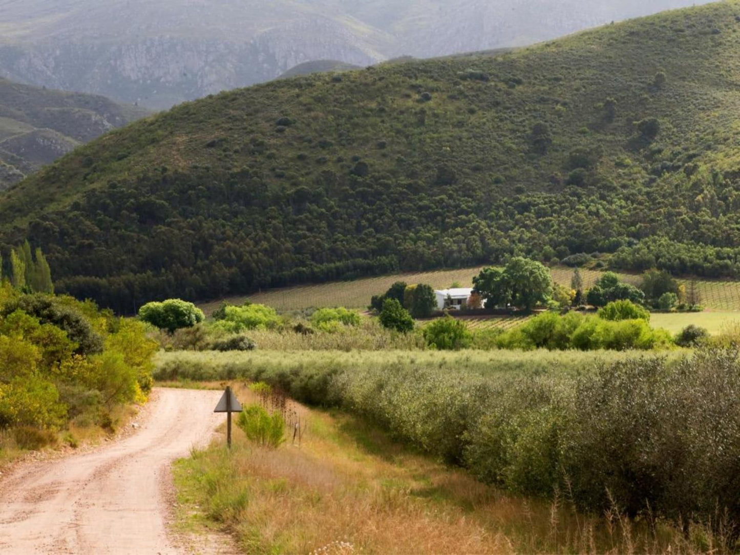 Galloway Guest House Robertson Western Cape South Africa Highland, Nature