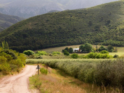 Galloway Guest House Robertson Western Cape South Africa Highland, Nature