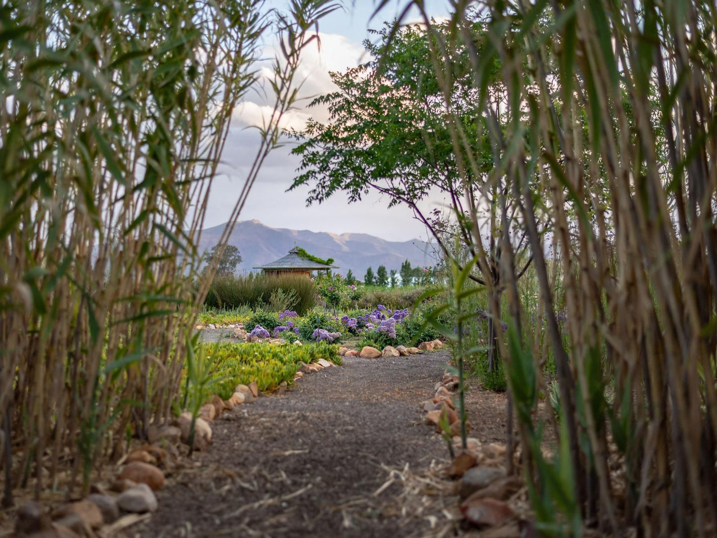 Galloway Guest House Robertson Western Cape South Africa Plant, Nature, Garden