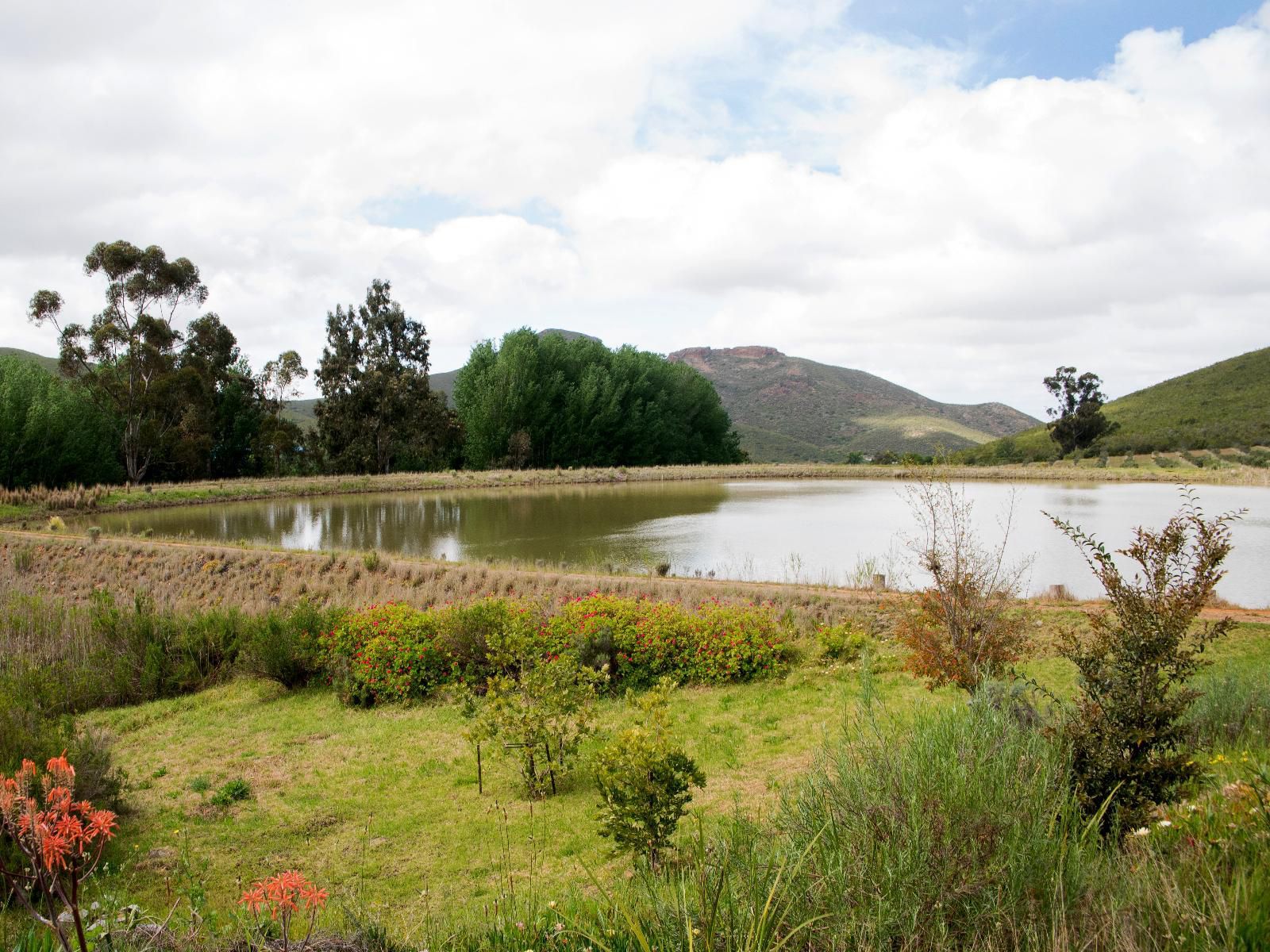 Galloway Guest House Robertson Western Cape South Africa River, Nature, Waters