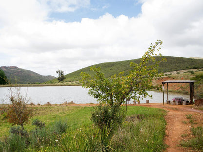 Galloway Guest House Robertson Western Cape South Africa Lake, Nature, Waters, Highland