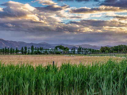 Galloway Guest House Robertson Western Cape South Africa Field, Nature, Agriculture