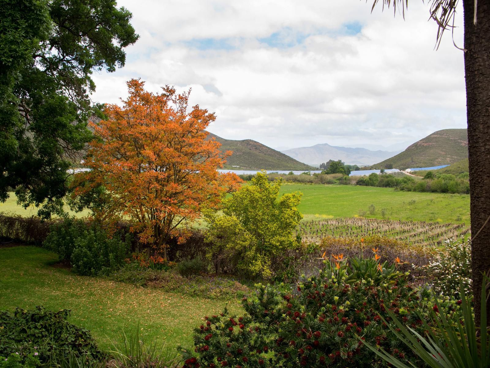 Galloway Guest House Robertson Western Cape South Africa Highland, Nature