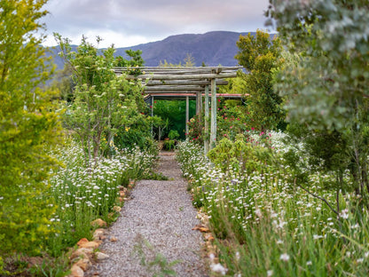 Galloway Guest House Robertson Western Cape South Africa Plant, Nature, Garden