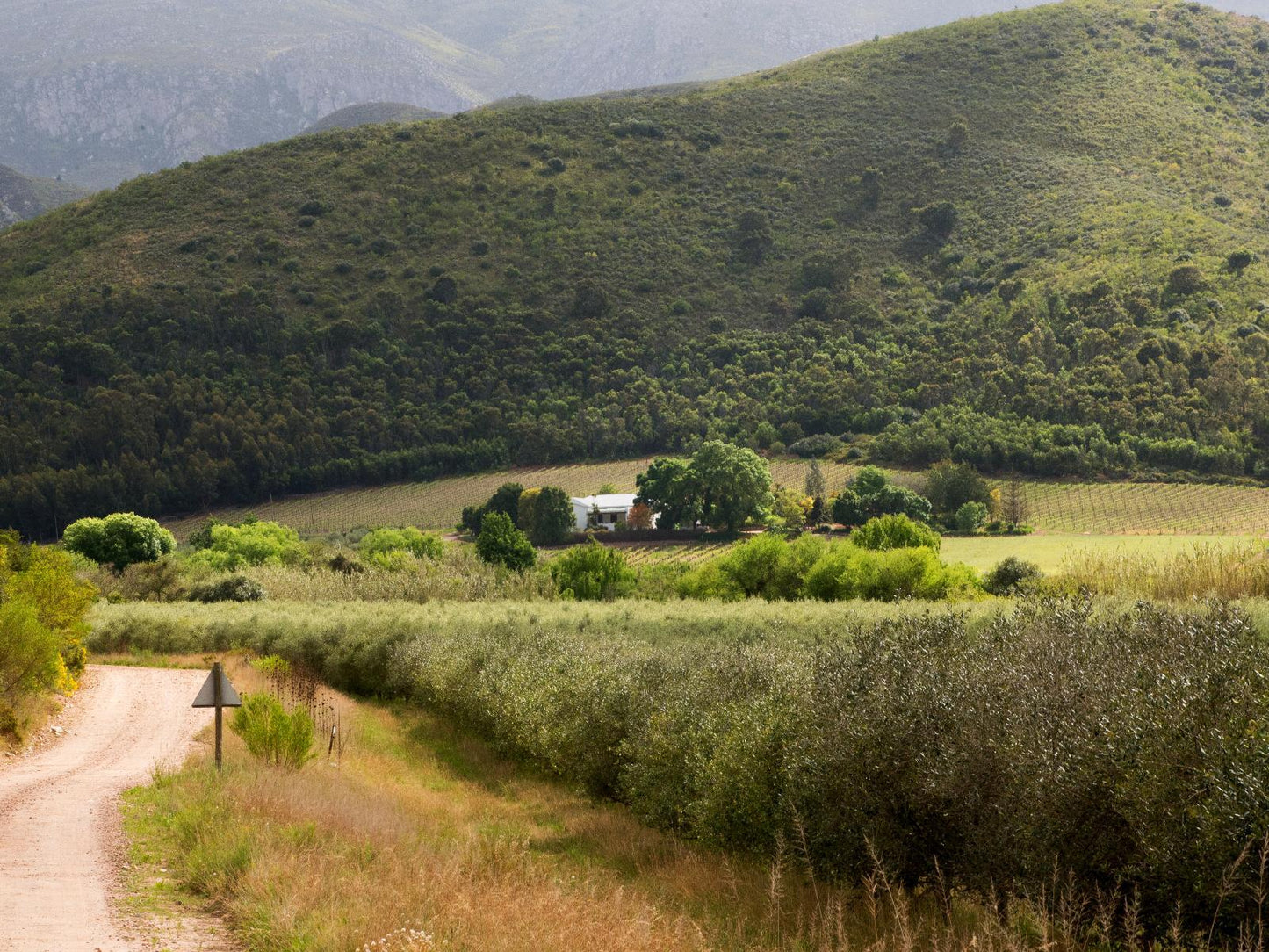 Vredelus Farm House @ Galloway Guest House