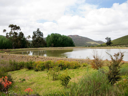 Vredelus Farm House @ Galloway Guest House