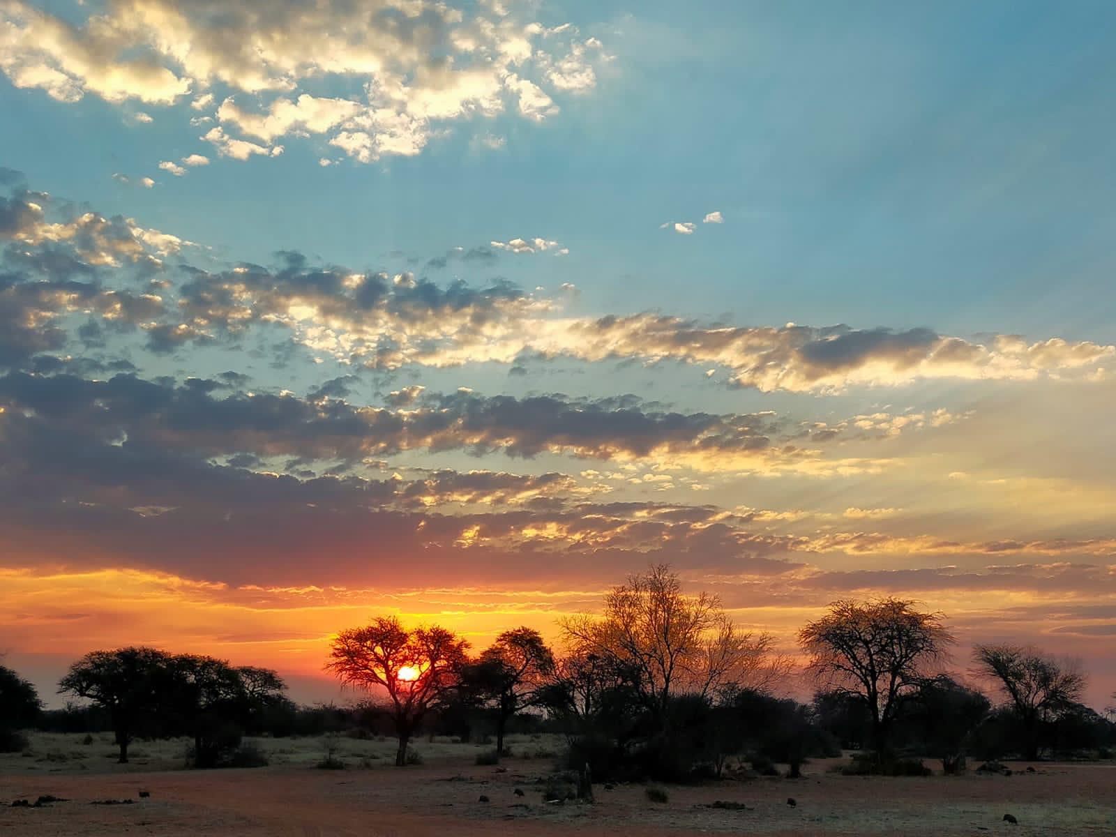 Gamagara Africa Private Nature Reserve Kathu Northern Cape South Africa Complementary Colors, Sky, Nature, Desert, Sand, Lowland, Sunset