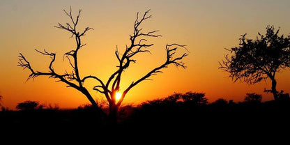 Game View Lodge Vryburg North West Province South Africa Silhouette, Sky, Nature, Sunset