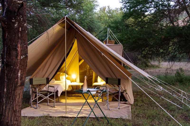 Gamtoos River Mouth Camp And Glam Camp Hankey Eastern Cape South Africa Tent, Architecture