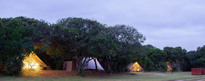 Gamtoos River Mouth Camp And Glam Camp Hankey Eastern Cape South Africa Tent, Architecture, Tree, Plant, Nature, Wood