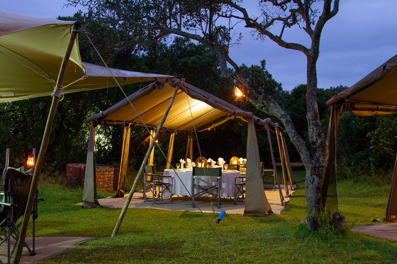 Gamtoos River Mouth Camp And Glam Camp Hankey Eastern Cape South Africa Tent, Architecture