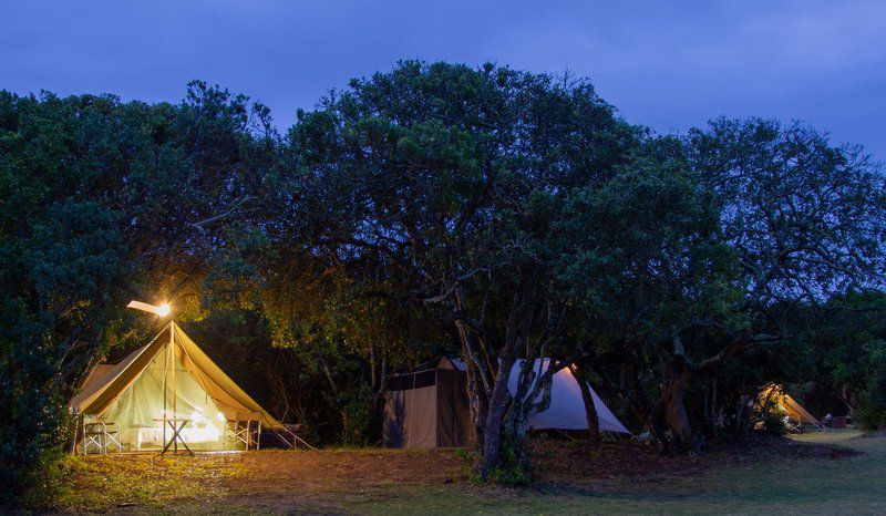 Gamtoos River Mouth Camp And Glam Camp Hankey Eastern Cape South Africa Tent, Architecture