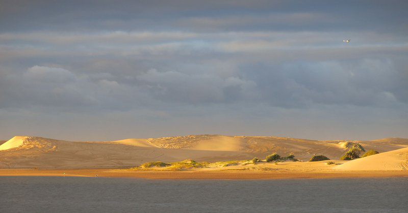 Gamtoos River Mouth Camp And Glam Camp Hankey Eastern Cape South Africa Beach, Nature, Sand, Desert