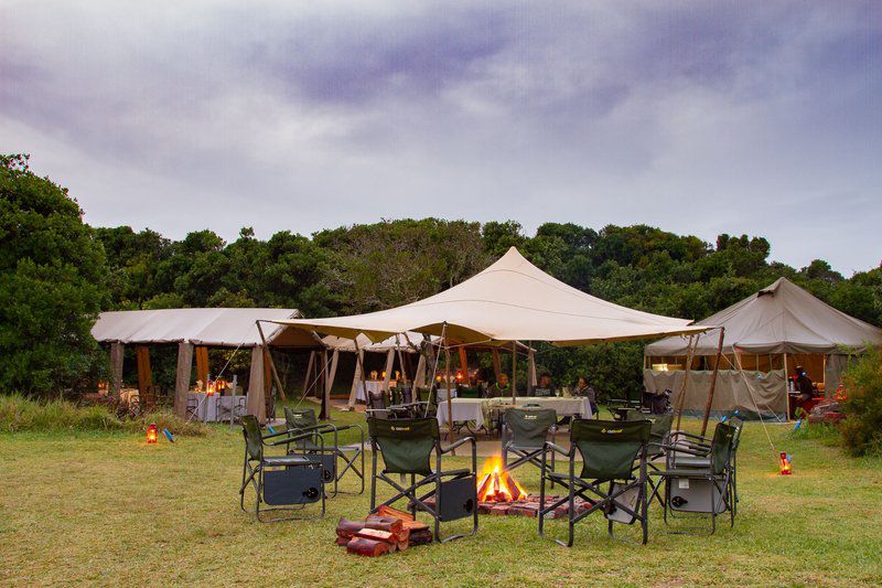 Gamtoos River Mouth Camp And Glam Camp Hankey Eastern Cape South Africa Tent, Architecture